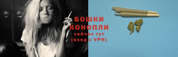 PSILOCYBIN Балабаново